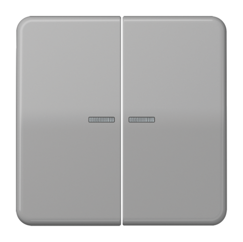 Клавиша двойная JUNG CD 500, серый