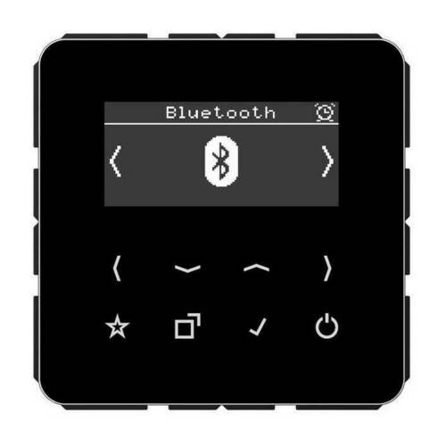 Цифровое радио Jung, с дисплеем, электронный, черный, DABCDBTSW