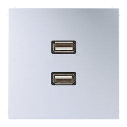 JUNG LS 990 Алюминий Накладка 2xUSB 2.0 (с несущей платой, монтаж только шурупами)